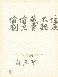 偷偷藏不住广播剧免费听原版