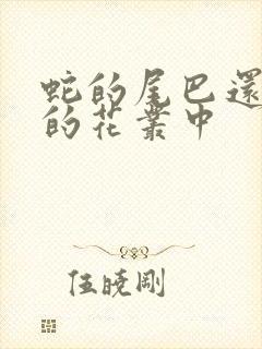 蛇的尾巴还在我的花丛中