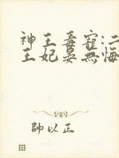神王毒宠:二嫁王妃晏无悔