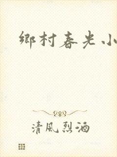 乡村春光小说