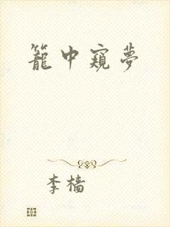 笼中窥梦
