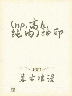 (np,高h,纯肉)神印