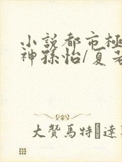 小说都市极品医神孙怡/夏若雪电子书