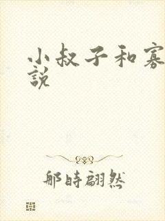 小叔子和寡嫂小说封面