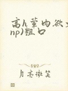 高h荤肉欲文(np)粗口