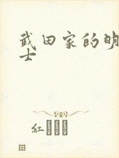 武田家的明国武士