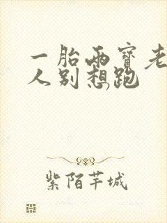 一胎两宝老婆大人别想跑封面
