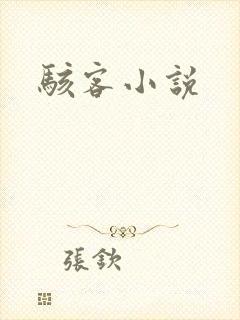 骇客小说