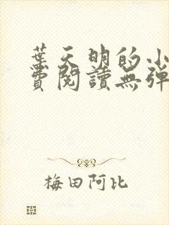 叶天明的小说免费阅读无弹窗