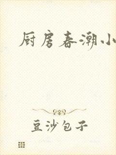 厨房春潮小说