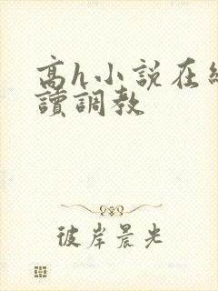 高h小说在线阅读调教封面