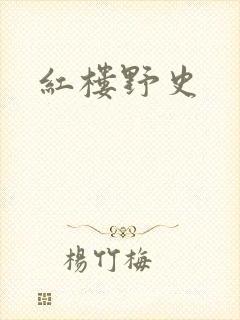红楼野史