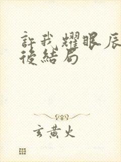 许我耀眼辰辰最后结局