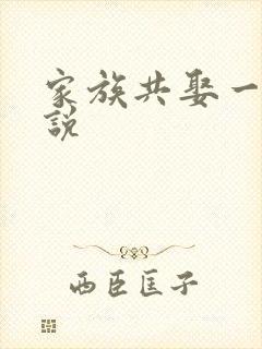 家族共娶一妻小说