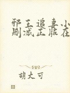 邪王追妻小说无删减正版在线阅读