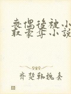 丧偶后被小叔强取豪夺小说