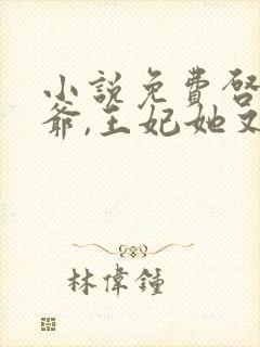 小说免费启禀王爷,王妃她又穷疯了
