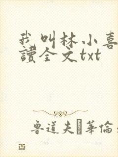 我叫林小喜全阅读全文txt