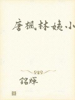 唐枫林姨小说