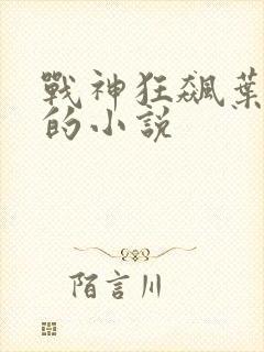 战神狂飙叶无缺的小说