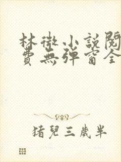 林微小说阅读免费无弹窗全文