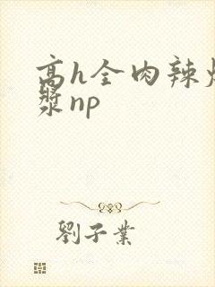 高h全肉辣爆灌浆np