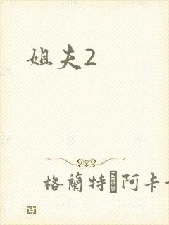 姐夫2