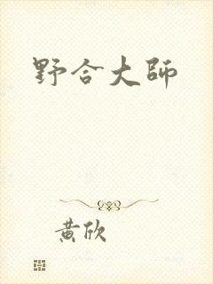 野合大师封面