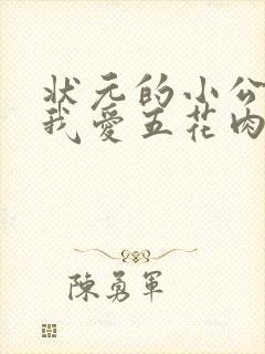 状元的小公主(我爱五花肉)封面
