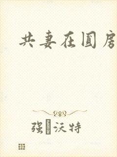 共妻在圆房3p