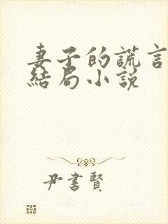 妻子的谎言程心结局小说封面