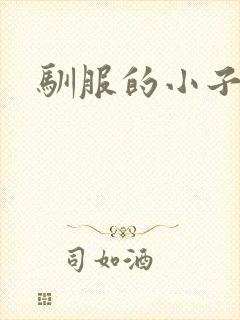 驯服的小子4