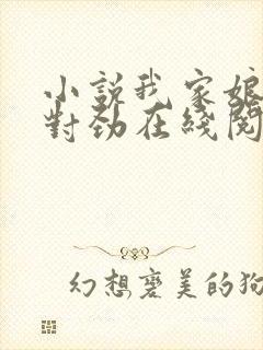 小说我家娘子不对劲在线阅读封面
