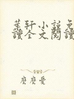 叶轩小说免费阅读全文阅读