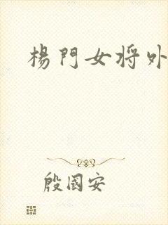 杨门女将外传
