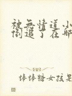 被无情道小师弟倒追了在哪看小说