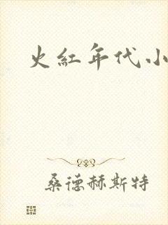 火红年代小说