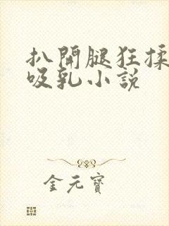 扒开腿狂揉大胸吸乳小说