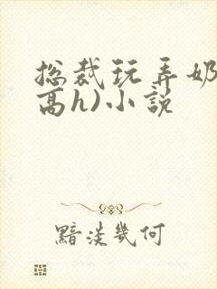 总裁玩弄奶头(高h)小说