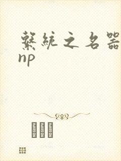 系统之名器攻略np