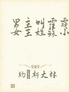 男主叫霍霆琛的女主姓苏小说