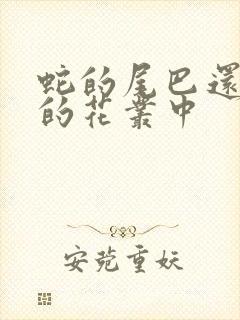 蛇的尾巴还在我的花丛中封面