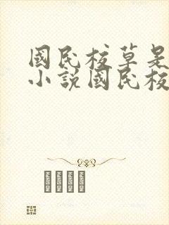 国民校草是女生小说国民校草是女生
