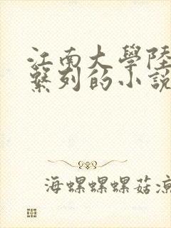 江南大学陆冰嫣系列的小说