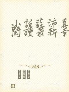 小说苏沛真全文阅读最新章节更新时间封面