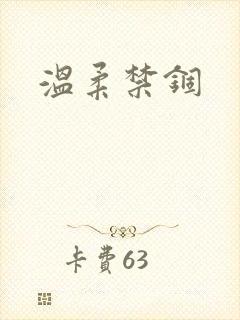 温柔禁锢封面