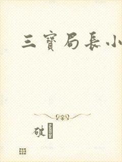 三宝局长小说