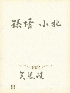 孙倩 小北封面