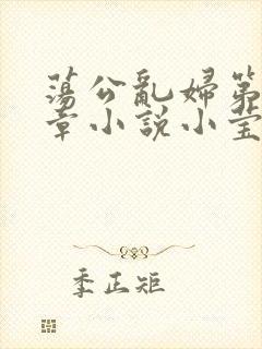 荡公乱妇第51章小说小莹封面