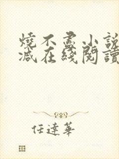 烧不尽小说无删减在线阅读